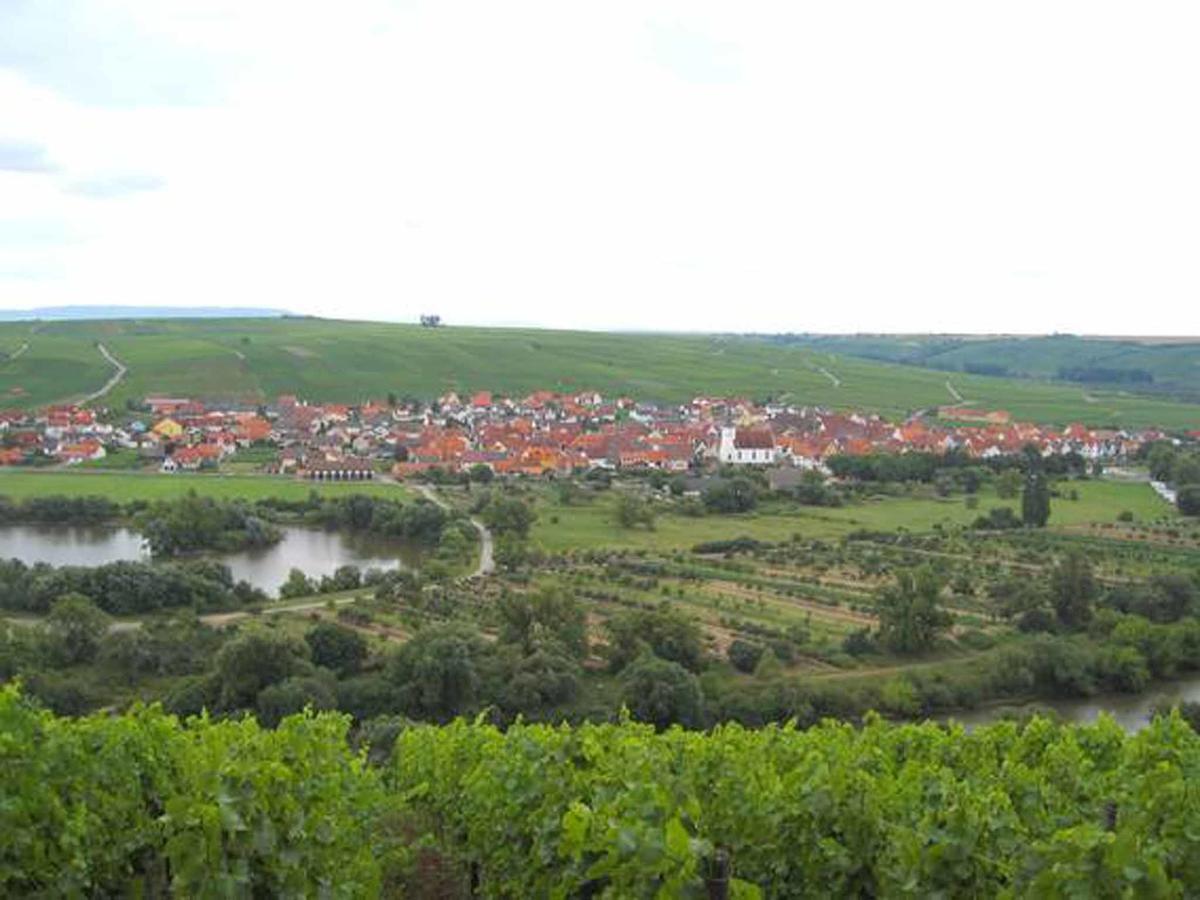 Ferien- Und Winzerhof Ute Braun Apartment Nordheim am Main Bagian luar foto