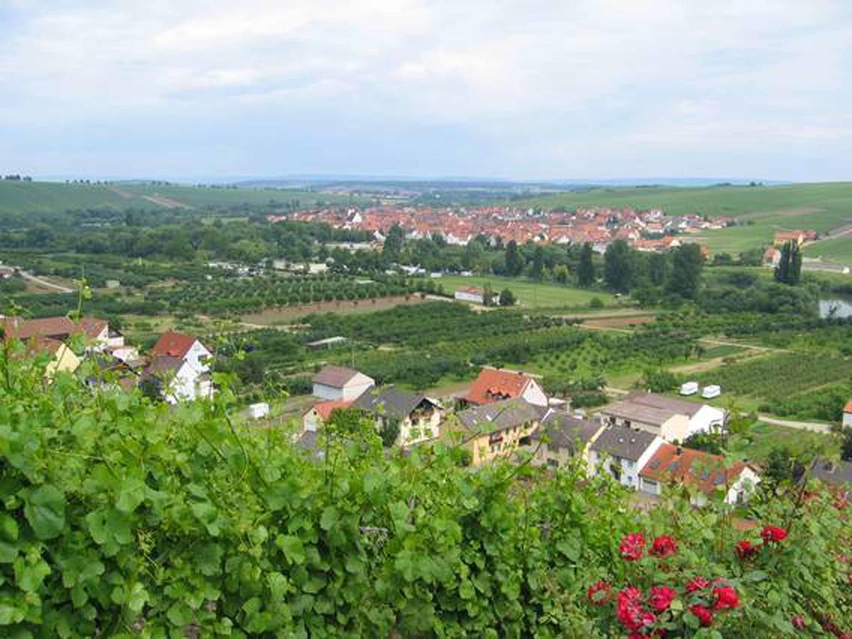 Ferien- Und Winzerhof Ute Braun Apartment Nordheim am Main Bagian luar foto